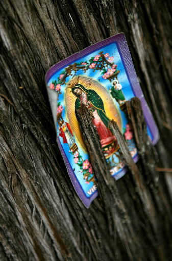 Virgin of Guadalupe  2007